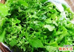 孕妇吃荠菜了怎么办 学会这些，帮助你缓解不适！