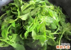 吃了荠菜饺子流产了 什么人吃荠菜饺子会流产