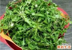 乳腺癌能不能吃荠菜 吃荠菜有什么好处