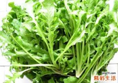 人流后可以吃荠菜吗 人流之后吃荠菜有什么影响