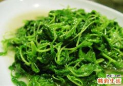 宝宝吃荠菜会过敏吗 吃荠菜为什么会过敏