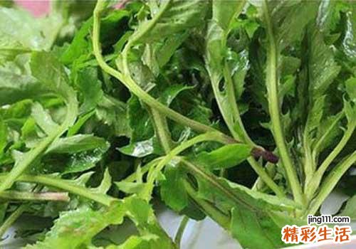 孕妇吃荠菜多久有反应 孕妇吃了荠菜怎么办