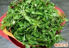 荠菜有点苦能吃吗 荠菜怎么去苦味