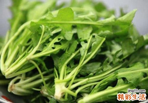 荠菜叶子黄了能吃吗 荠菜发黄为什么不能吃