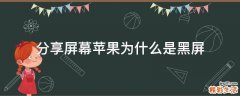 分享屏幕苹果为什么是黑屏