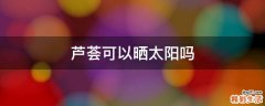 芦荟可以晒太阳吗