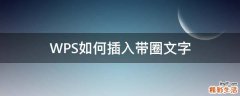 WPS如何插入带圈文字