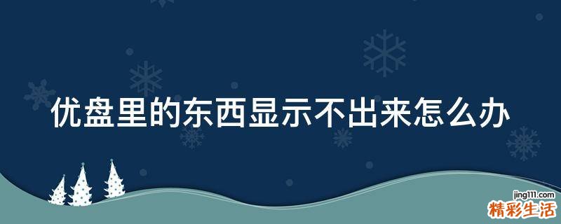 优盘里的东西显示不出来怎么办