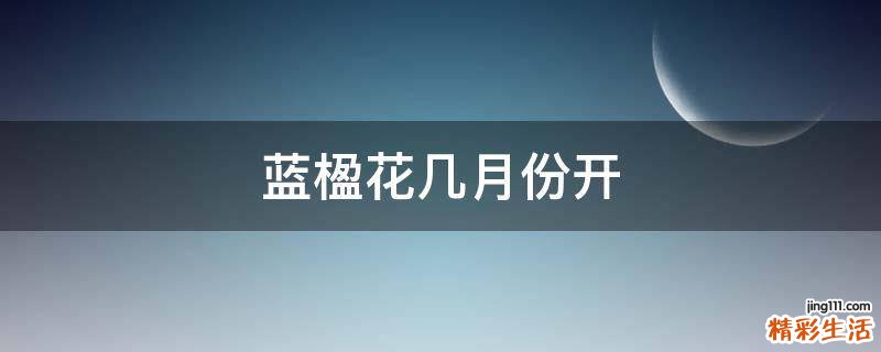 蓝楹花几月份开