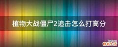 植物大战僵尸2追击怎么打高分