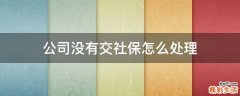 公司没有交社保怎么处理
