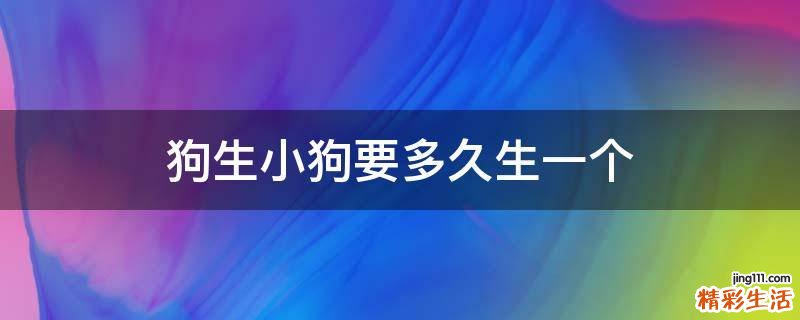 狗生小狗要多久生一个