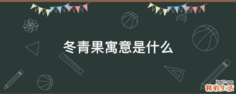 冬青果寓意是什么