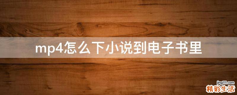 mp4怎么下小说到电子书里