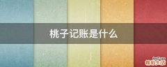 桃子记账是什么