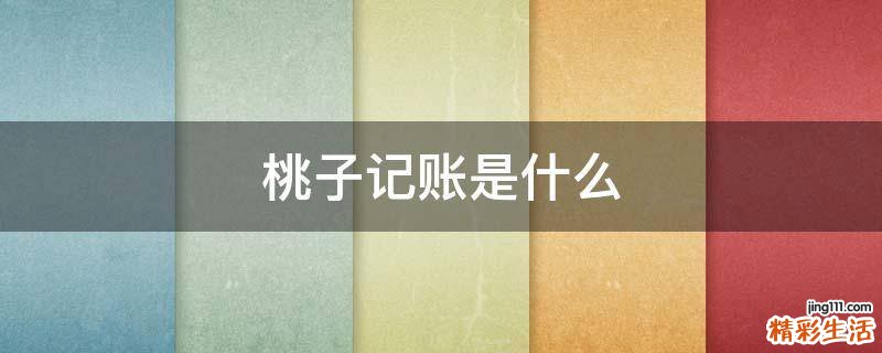 桃子记账是什么