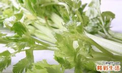 芹菜功效作用 芹菜叶的功效