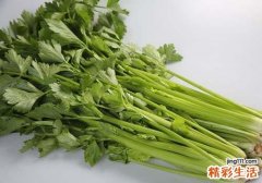 吃芹菜有什么好处 才知道好处这么多