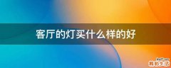 客厅的灯买什么样的好