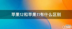 苹果12和苹果11有什么区别