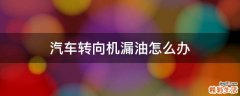 汽车转向机漏油怎么办