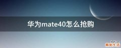 华为mate40怎么抢购