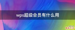 wps超级会员有什么用