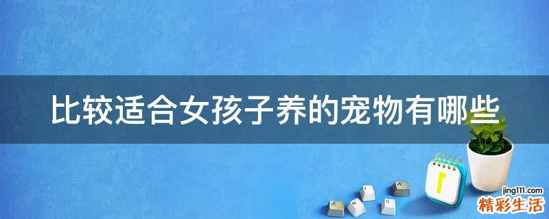 比较适合女孩子养的宠物有哪些