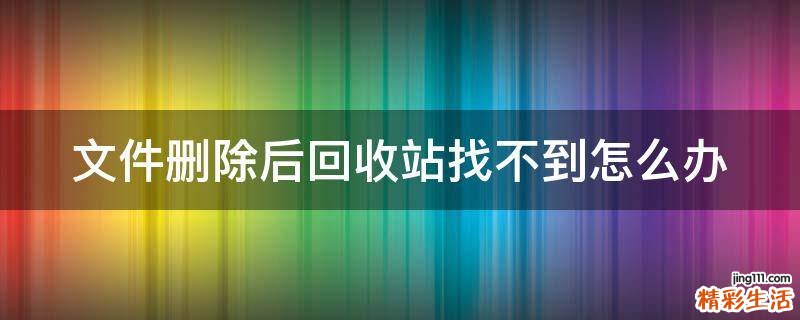 文件删除后回收站找不到怎么办