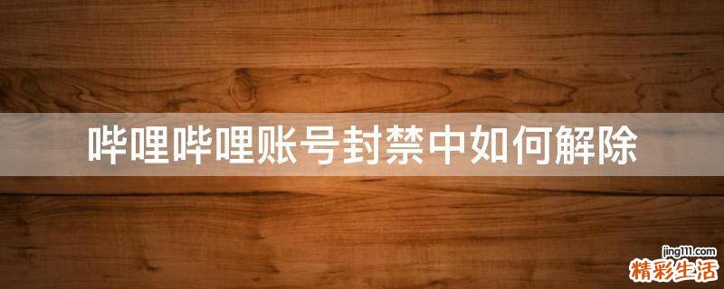 哔哩哔哩账号封禁中如何解除