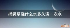 捕蝇草浇什么水多久浇一次水