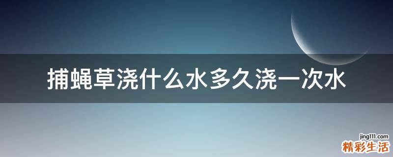 捕蝇草浇什么水多久浇一次水