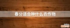 春分适合种什么农作物