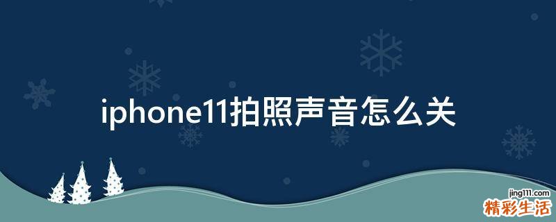 iphone11拍照声音怎么关