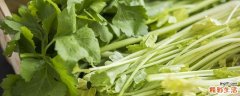 芹菜和鸡肉可以一起吃吗 芹菜和鸡肉一起吃会怎样