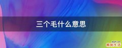 三个毛什么意思