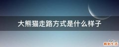 大熊猫走路方式是什么样子