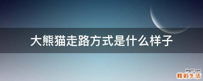 大熊猫走路方式是什么样子