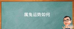 属兔运势如何
