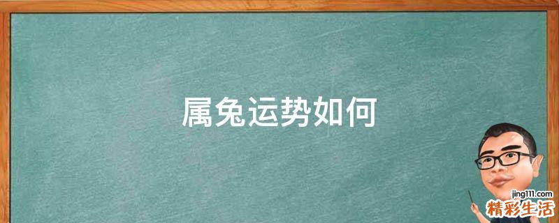 属兔运势如何