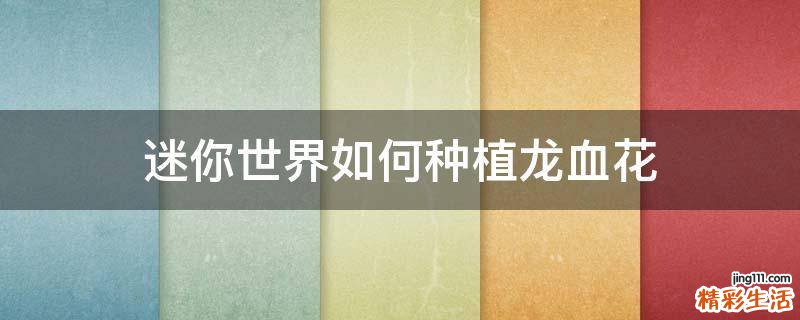 迷你世界如何种植龙血花