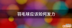 羽毛球应该如何发力