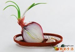 洋葱放冰箱很久能吃吗