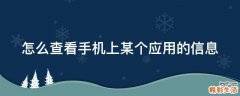 怎么查看手机上某个应用的信息