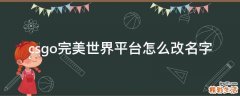 csgo完美世界平台怎么改名字