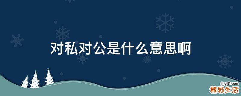 对私对公是什么意思啊