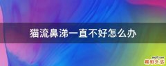 猫流鼻涕一直不好怎么办