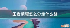 王者荣耀怎么分走什么路
