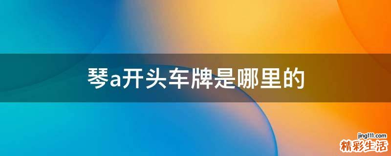 琴a开头车牌是哪里的