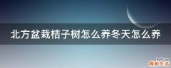 北方盆栽桔子树怎么养冬天怎么养
